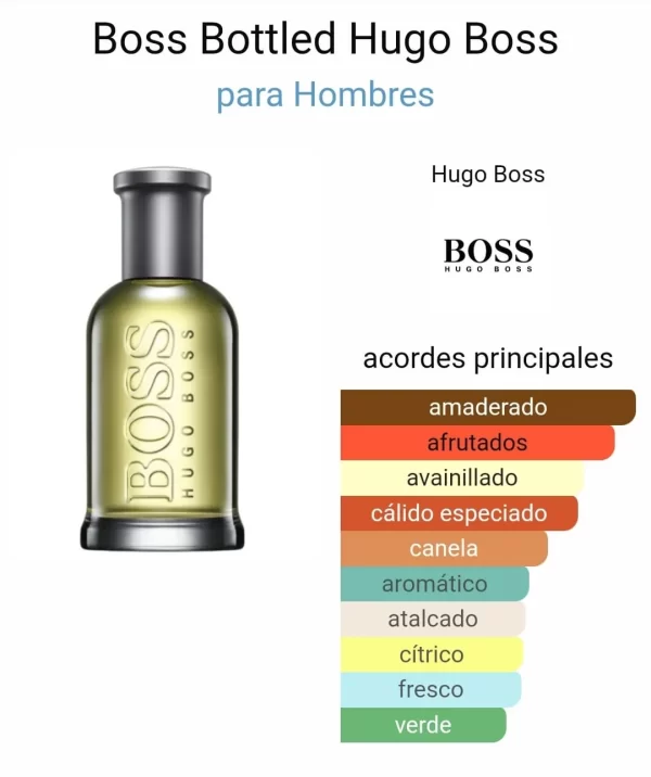 Hugo Boss Bottled