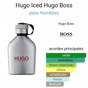 Hugo Boss Iced