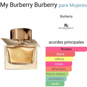 Burberry My Burberry