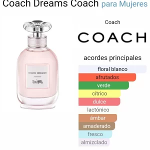 Coach Coach Dreams
