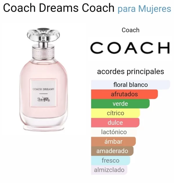 Coach Coach Dreams