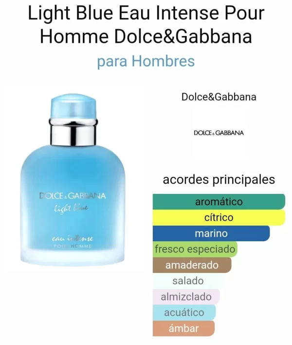 Dolce & Gabbana Light Blue