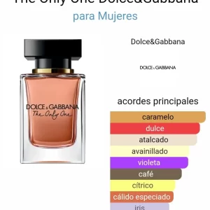 Dolce & Gabbana The Only One