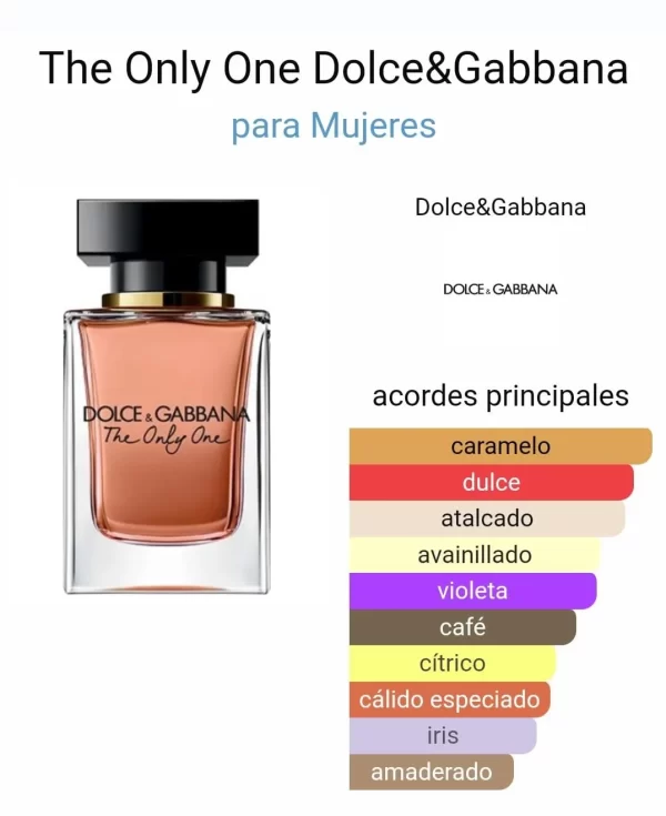 Dolce & Gabbana The Only One