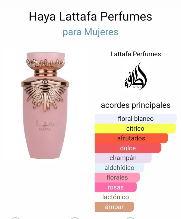Lataffa Haya
